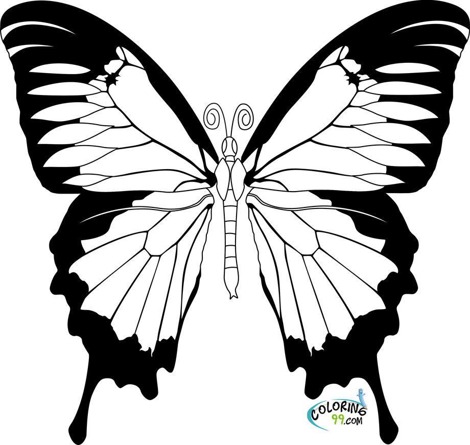 butterfly color sheets butterfly coloring pages color butterfly sheets 1 1