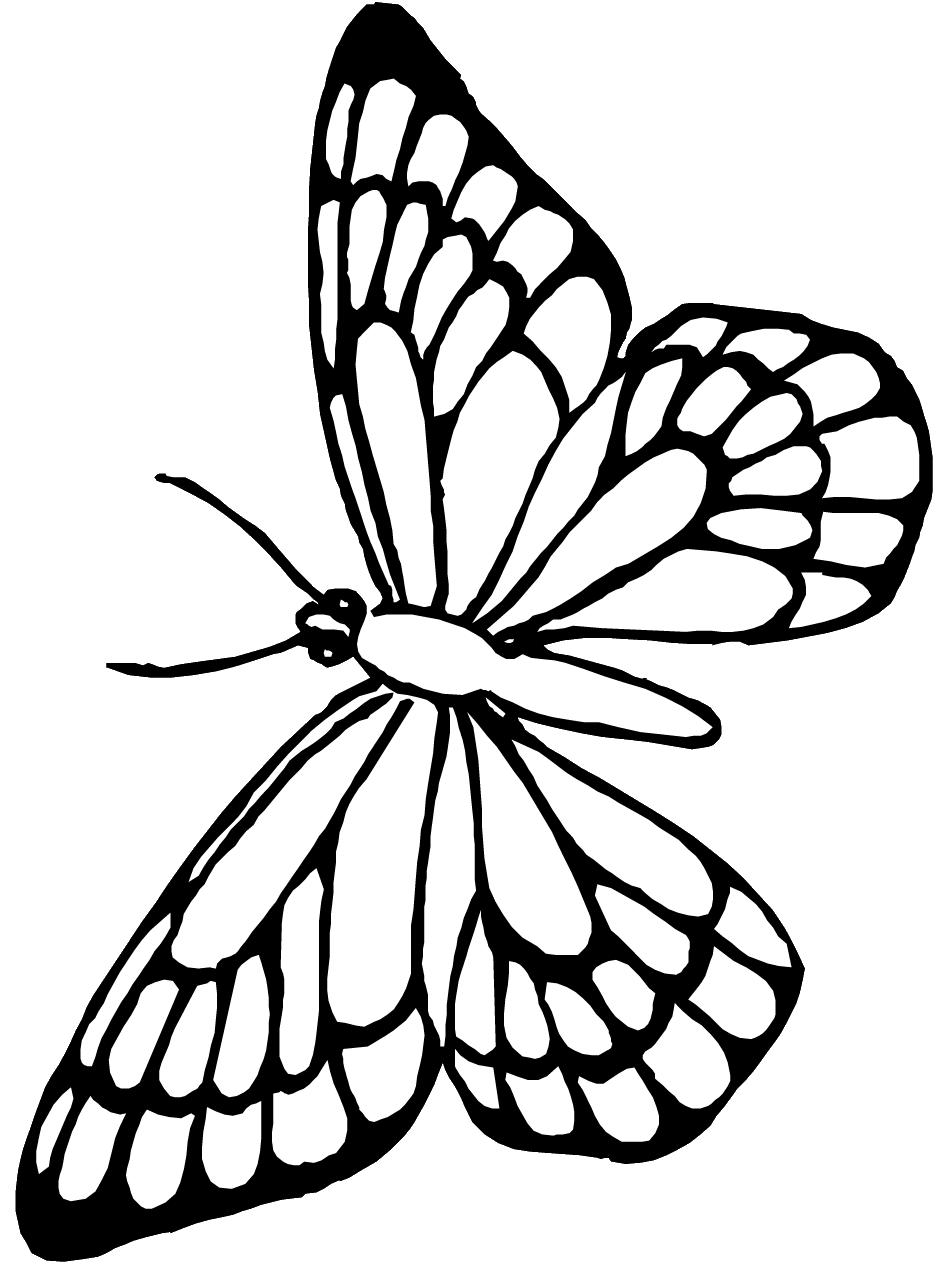 butterfly color sheets printable butterfly coloring pages for kids cool2bkids color sheets butterfly 1 1