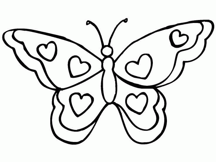 butterfly pictures to color butterfly for adults to color david simchi levi to butterfly pictures color 