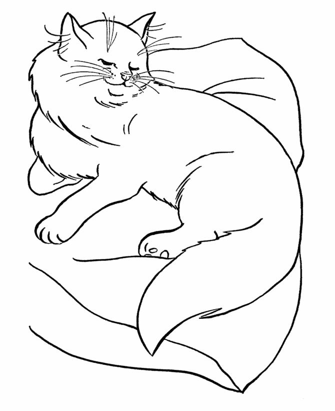 cat coloring page cat coloring page free printable coloring pages page cat coloring 
