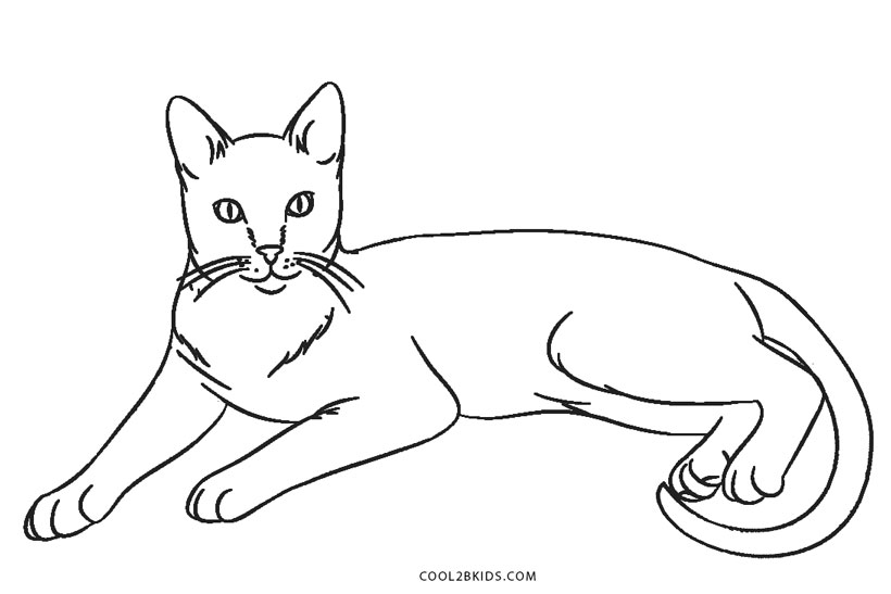 cat coloring page cat coloring pages free large images cat coloring page 