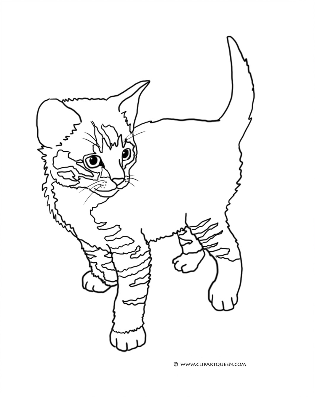 cat coloring page free printable cat coloring pages for kids cat page coloring 1 1