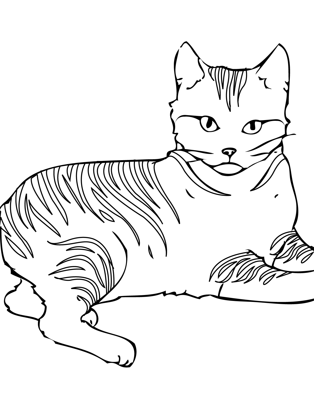 cat coloring page kitten meowing coloring page free printable coloring pages cat page coloring 