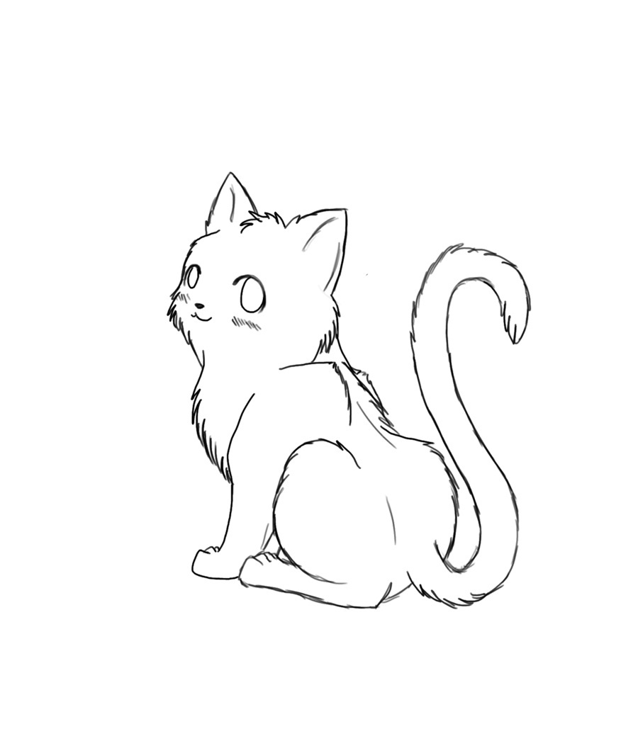 cat coloring page kitty world kitten pictures to colour cat coloring page 