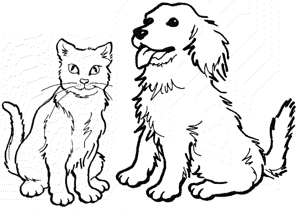 cat picture to color cat and dog coloring pages to download and print for free color to picture cat 
