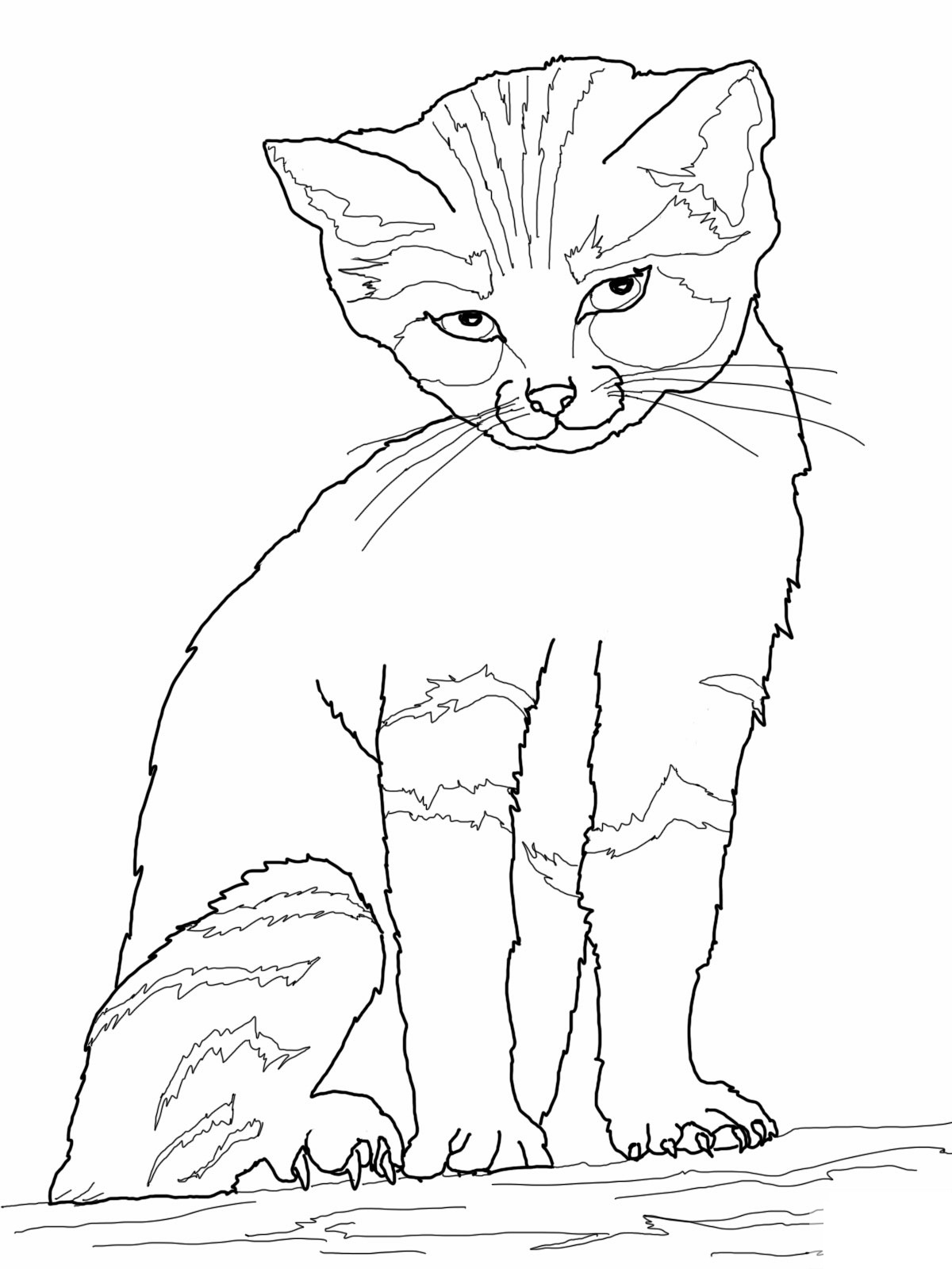 cat picture to color color in these cuddly cats worksheets printables color to picture cat 