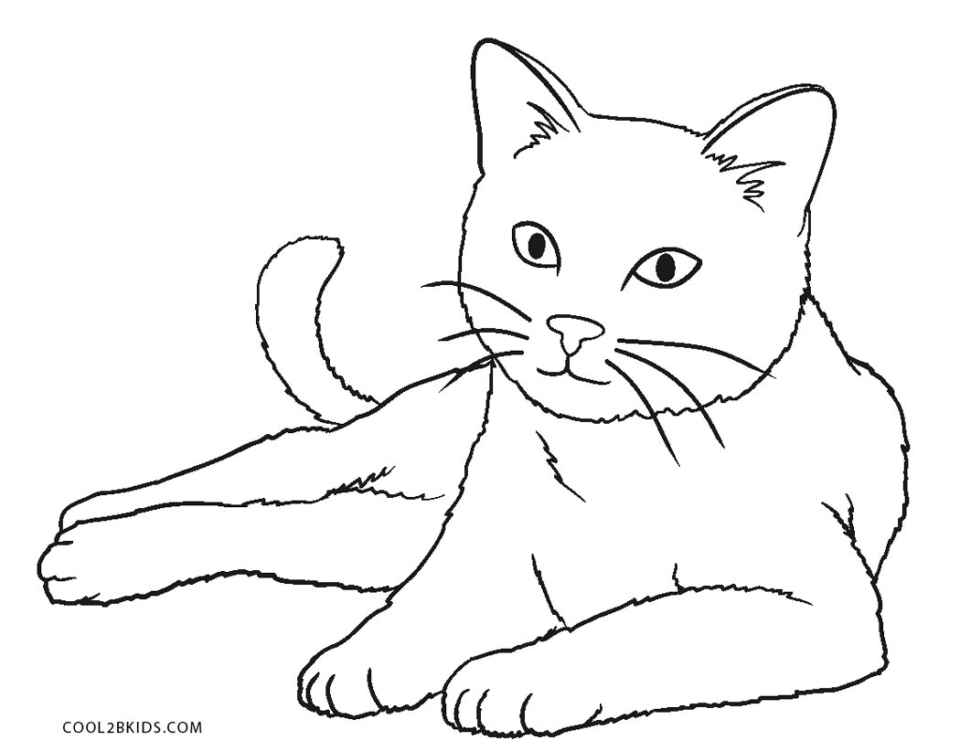 cat picture to color free printable cat coloring pages for kids cool2bkids cat color picture to 