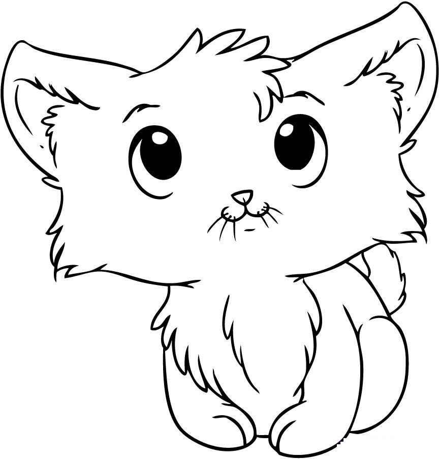 cat picture to color kitten coloring pages best coloring pages for kids cat picture to color 