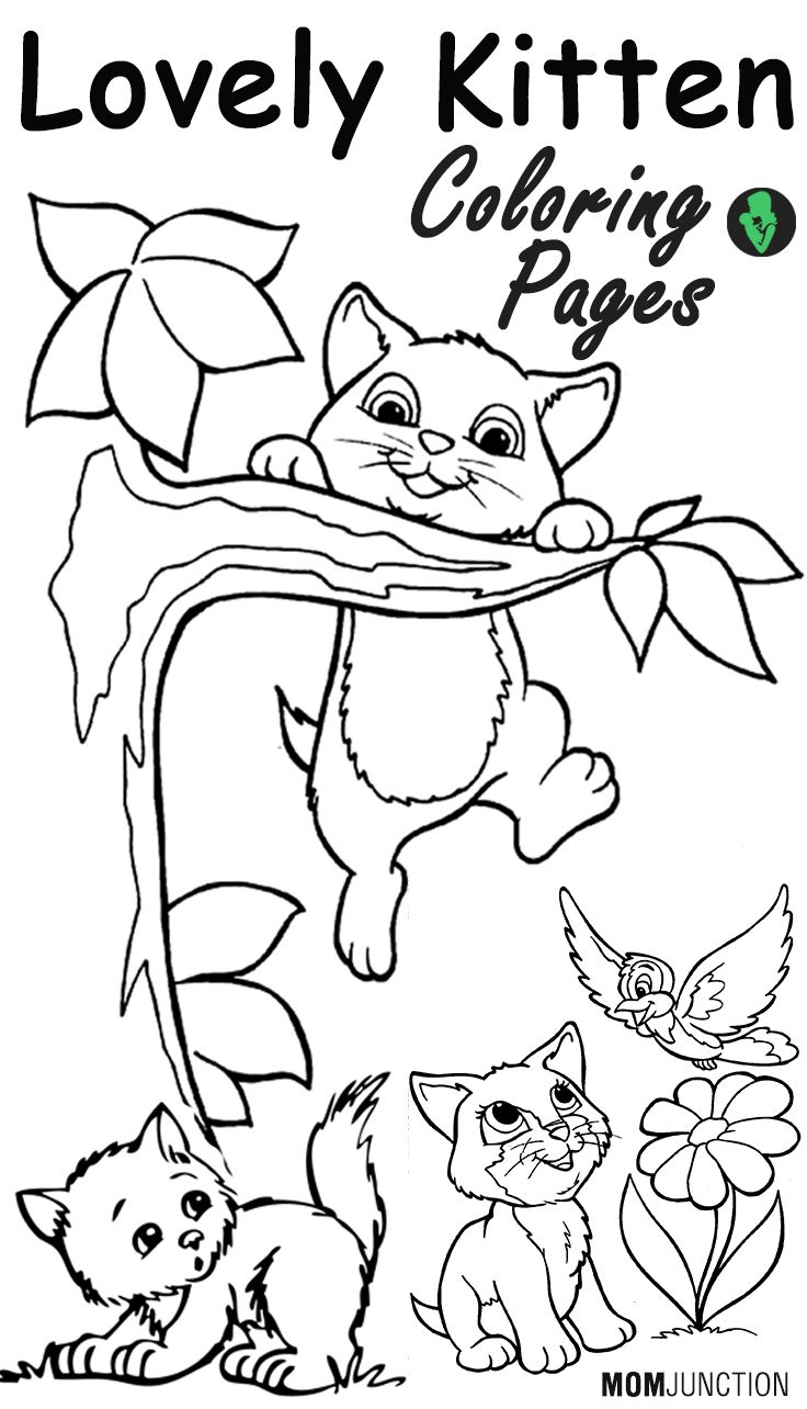 cat picture to color top 15 free printable kitten coloring pages online picture to color cat 