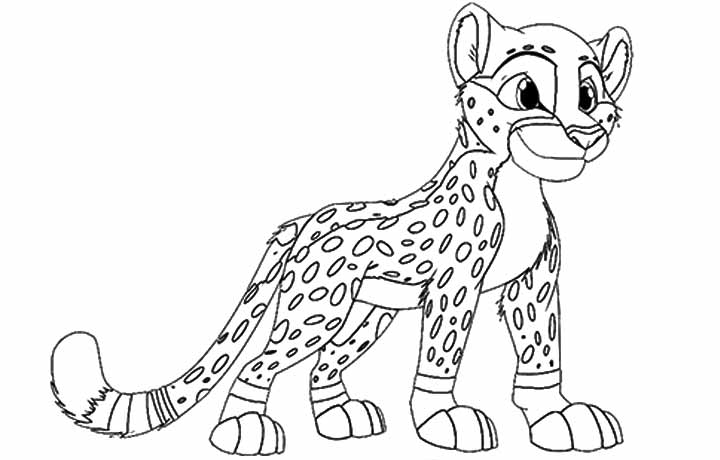cheetah colouring page cheetah color sheet cheetah coloring pages coloring page colouring cheetah 