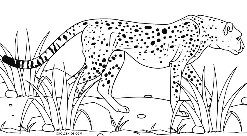 cheetah colouring page printable cheetah coloring pages for kids cool2bkids cheetah page colouring 1 1