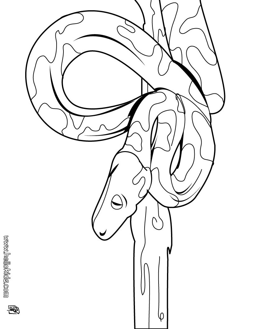 childrens coloring sheets elephant coloring pages sheets pictures sheets coloring childrens 