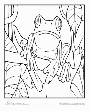 color by number frog free coloring pages of colour by number frog 895 frog number color by 