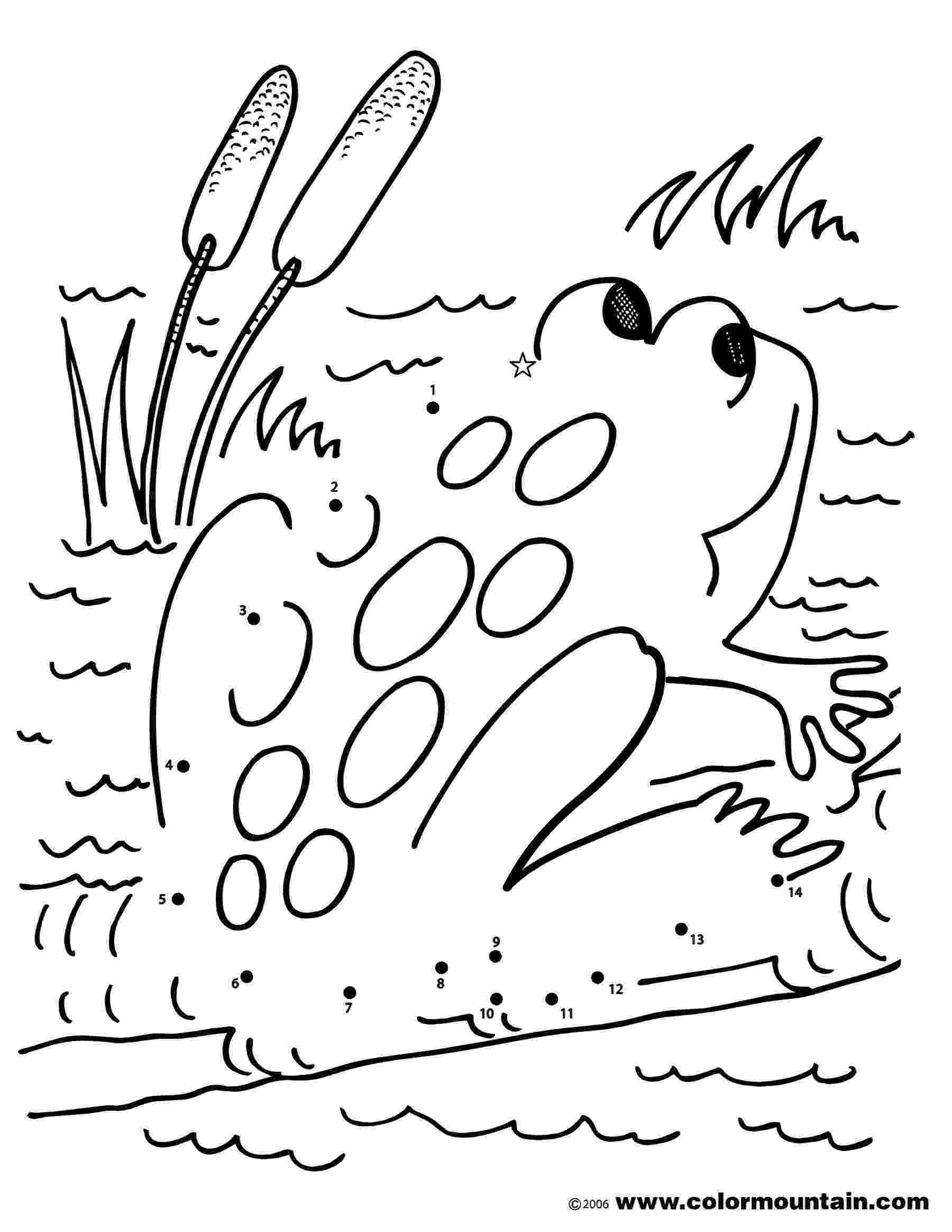 color by number frog frog activity coloring page create a printout or activity by number frog color 