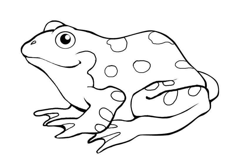 color by number frog printable frog colouring pages for preschoolers color by frog number 