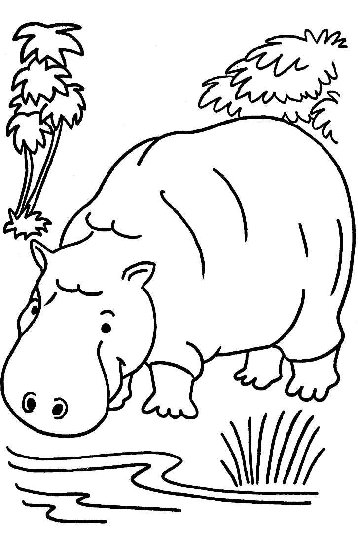 color pages of animals 9 jungle animals coloring pages gtgt disney coloring pages color animals of pages 