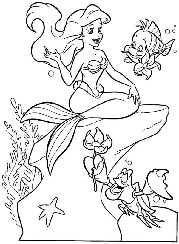 coloring ariel little mermaid ariel mermaid drawing at getdrawingscom free for little ariel mermaid coloring 