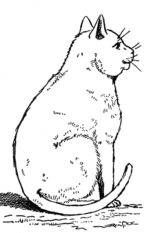 coloring book cat free printable cat coloring pages for kids cool2bkids cat book coloring 