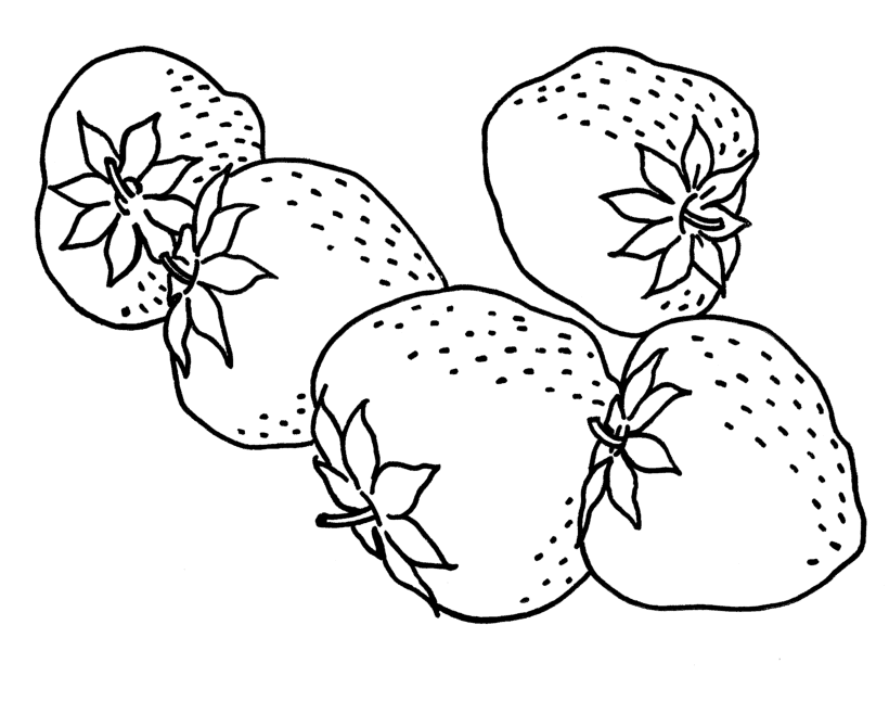 coloring book fruits coloring pages of fresh fruit and vegetables minister book fruits coloring 