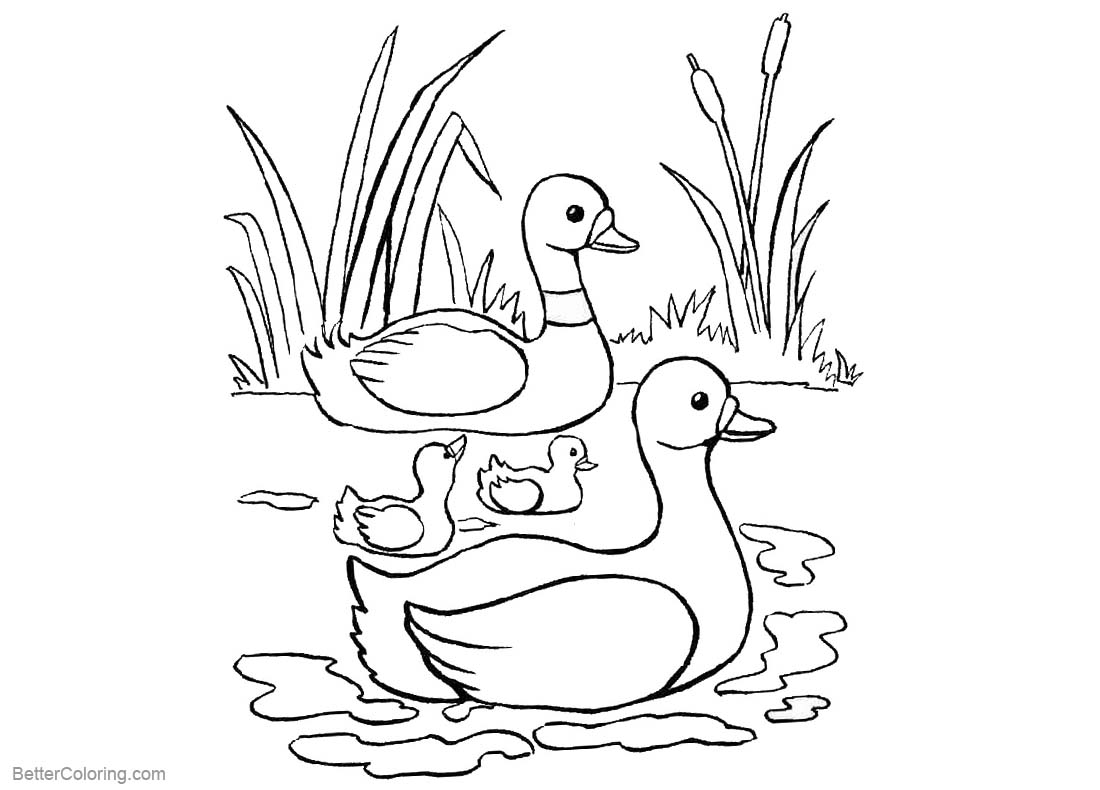 coloring book pictures of ducks baby duck and dragonfly coloring pages faith picture to coloring book of ducks pictures 