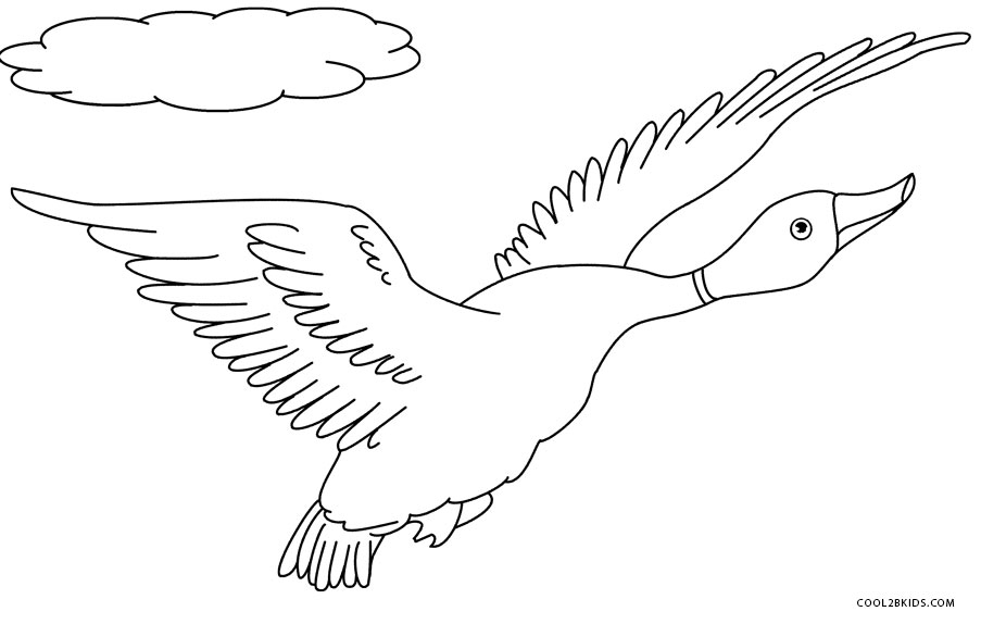 coloring book pictures of ducks baby ducks coloring pages pictures book ducks coloring of pictures 