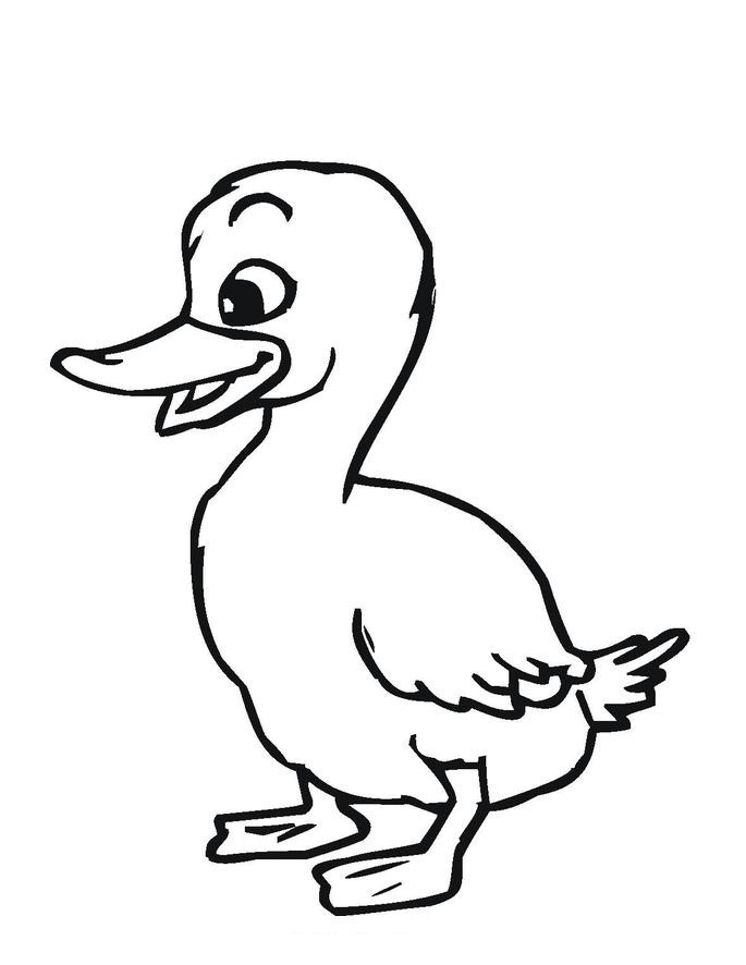 coloring book pictures of ducks duck coloring pages free printable pictures coloring ducks pictures of coloring book 