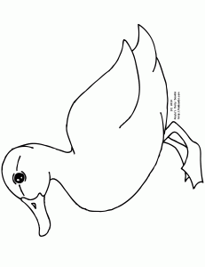 coloring book pictures of ducks duck picture coloring page netart ducks coloring pictures of book 