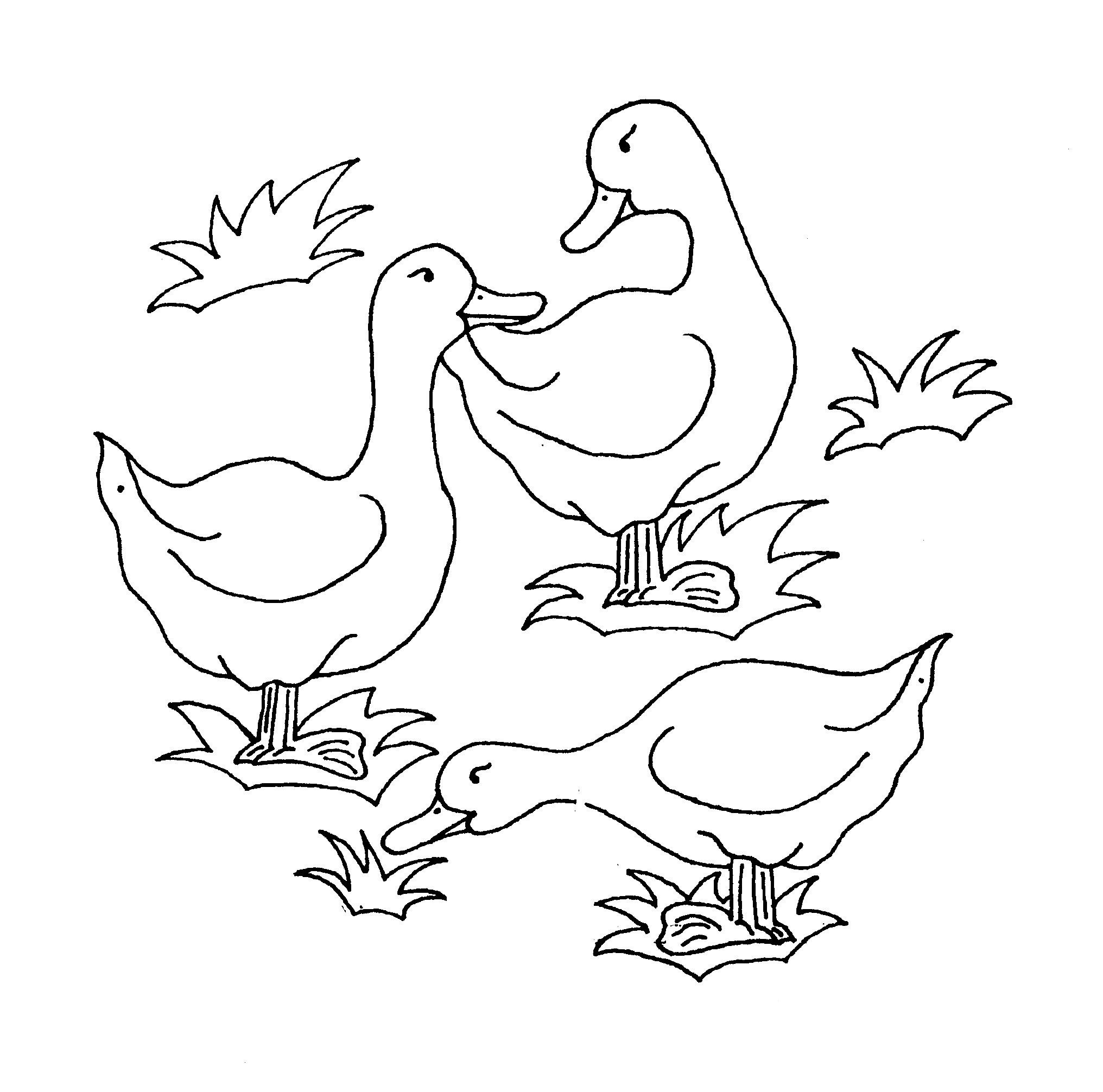 coloring book pictures of ducks free printable duck coloring pages for kids animal place ducks book coloring of pictures 