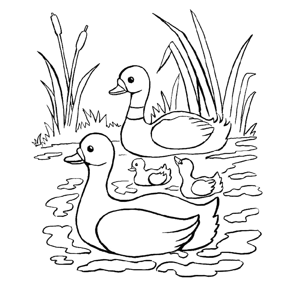 coloring book pictures of ducks printable duck coloring pages for kids cool2bkids coloring book pictures ducks of 