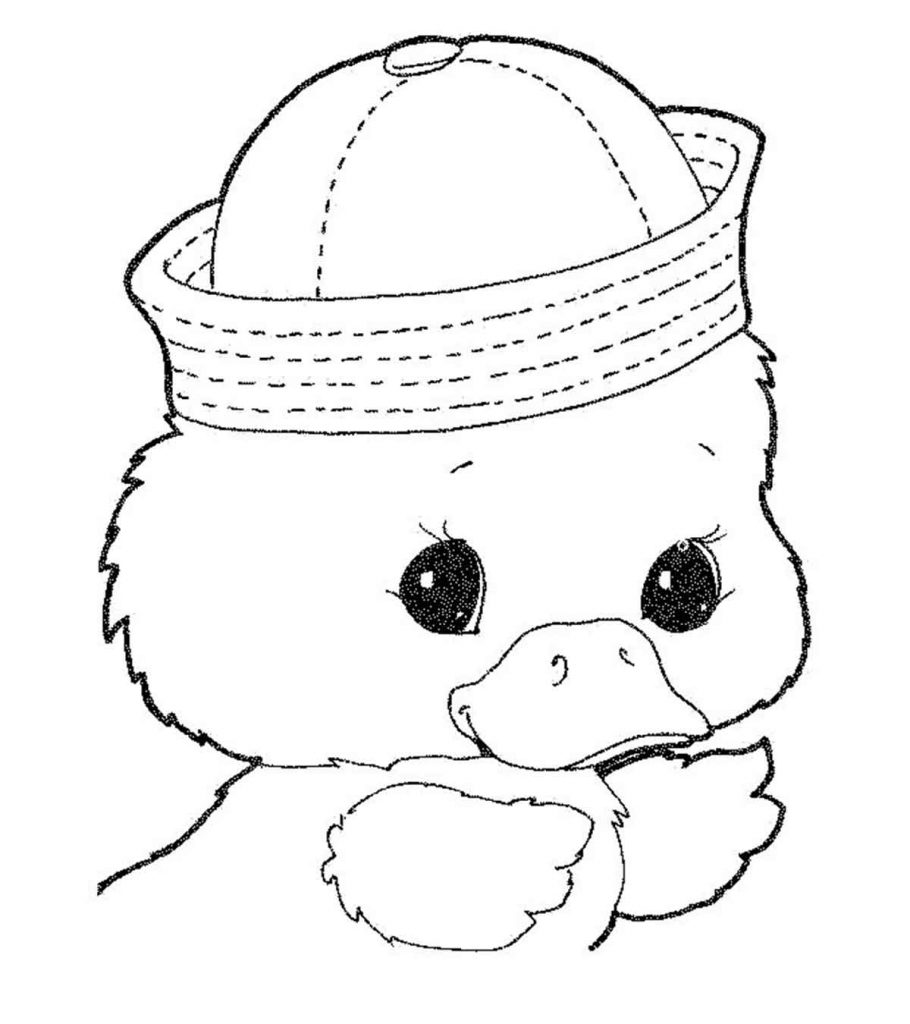 coloring book pictures of ducks printable duck coloring pages for kids cool2bkids of book coloring pictures ducks 