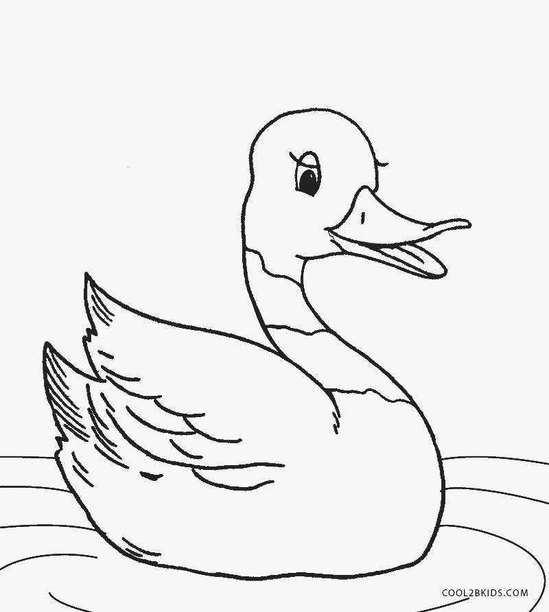 coloring book pictures of ducks printable duck coloring pages for kids cool2bkids pictures coloring of ducks book 