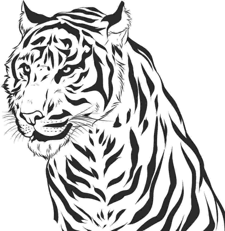 coloring book tiger free printable tiger coloring pages for kids coloring book tiger 