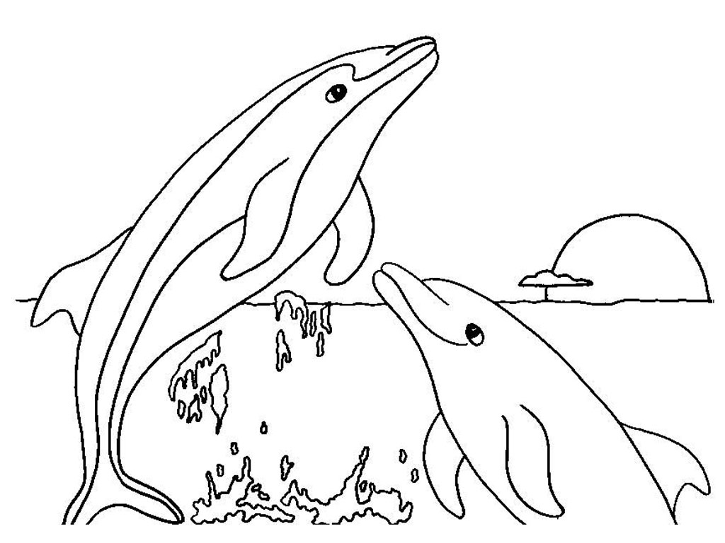 coloring dolphins four dolphins coloring page free printable coloring pages dolphins coloring 