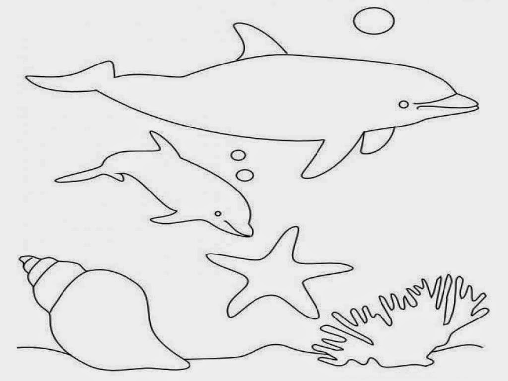 coloring dolphins free dolphin coloring pages coloring dolphins 