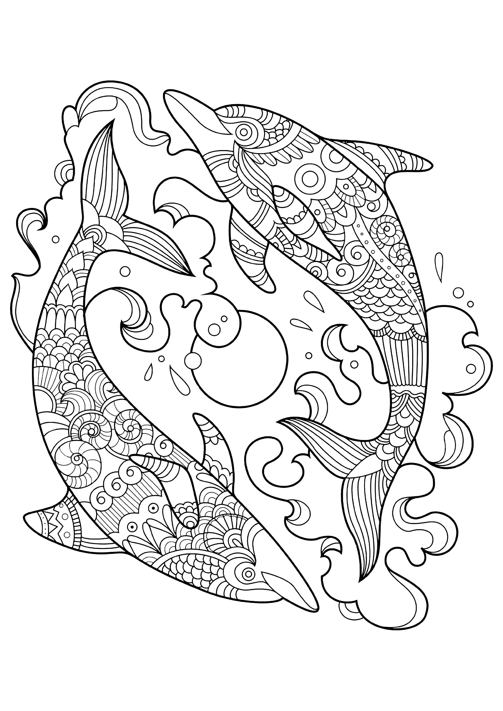 coloring dolphins free printable dolphin coloring pages for kids coloring dolphins 1 2