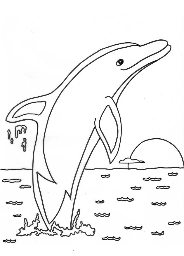 coloring dolphins hello kitty rides a dolphin coloring page free printable coloring dolphins 