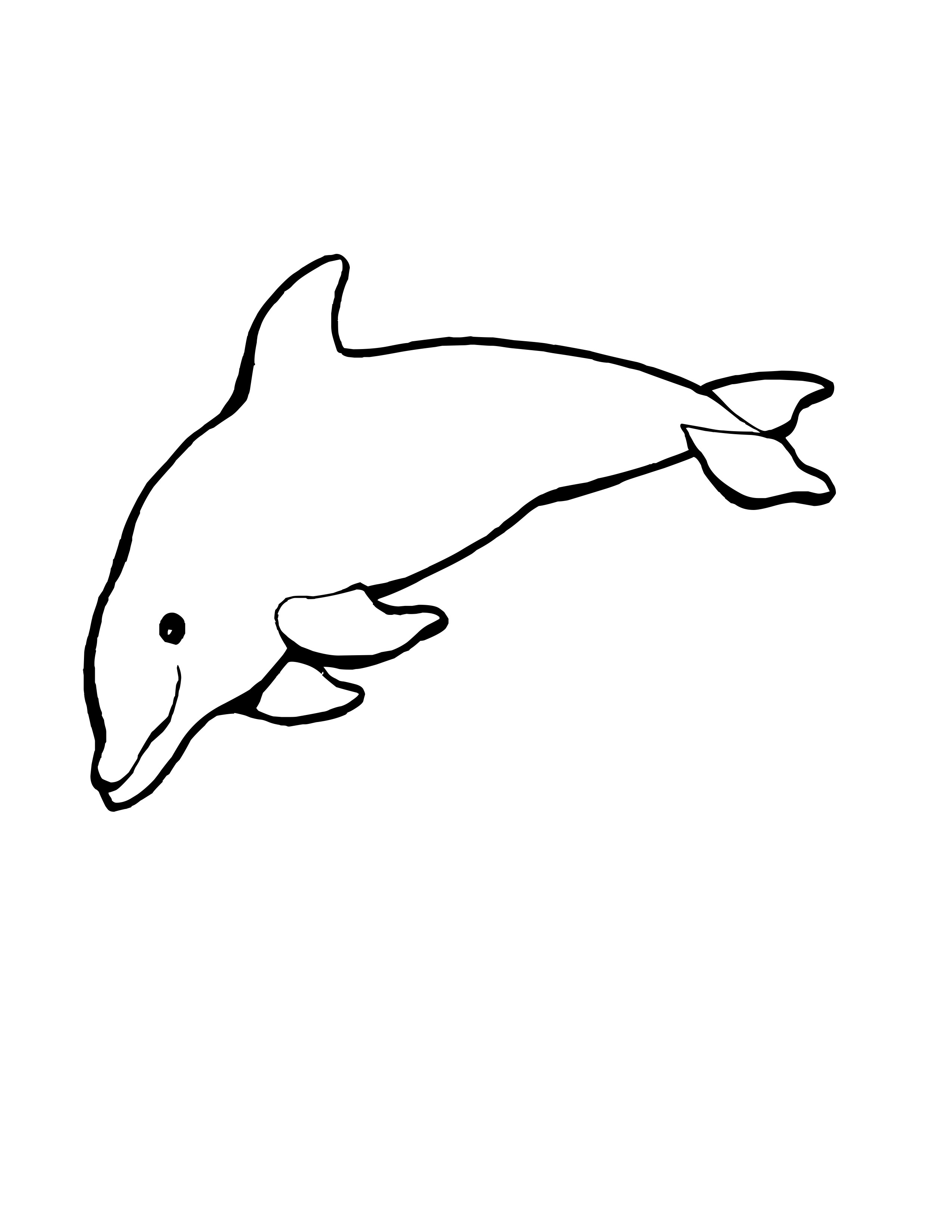 coloring dolphins lovely dolphin coloring pages hellokidscom dolphins coloring 