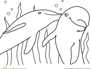 coloring dolphins miami dolphins coloring sheets bestappsforkidscom coloring dolphins 