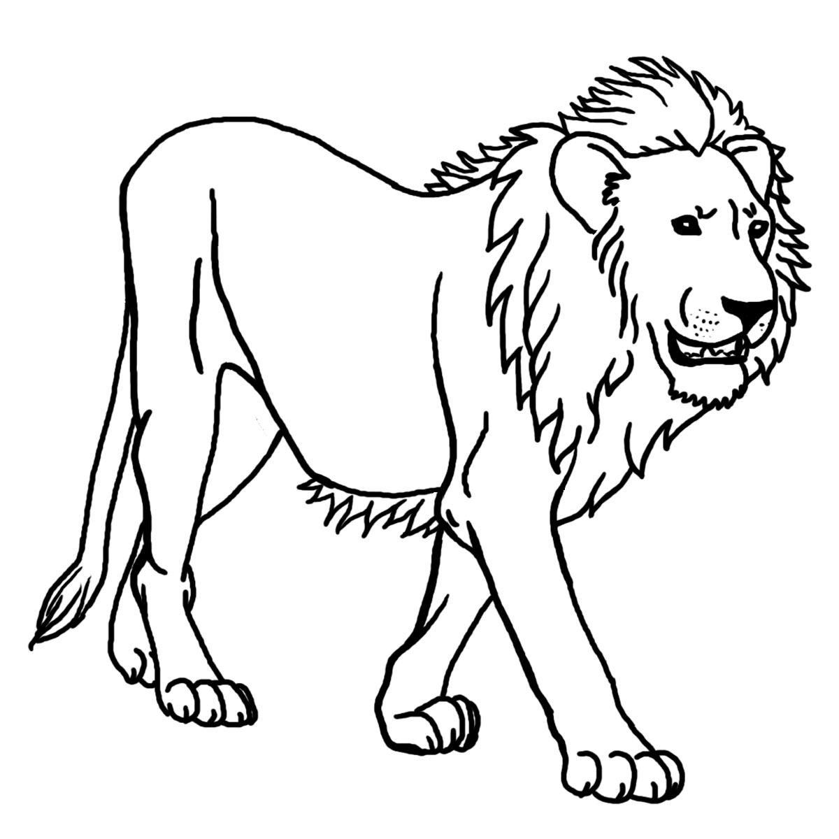 coloring page of a lion fun learn free worksheets for kid ภาพระบายส the lion a page of lion coloring 