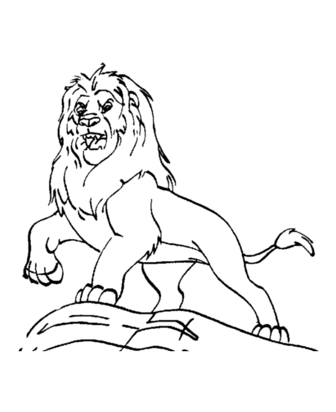 coloring page of a lion fun learn free worksheets for kid ภาพระบายส the lion page of a lion coloring 