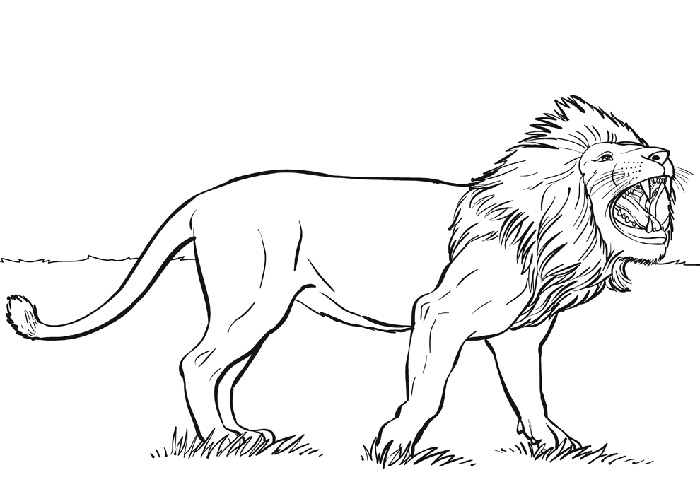 coloring page of a lion lion king coloring pages best coloring pages for kids page lion of coloring a 