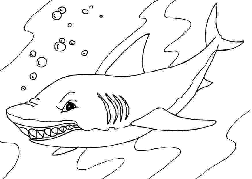 coloring page of shark free printable shark coloring pages for kids of shark coloring page 1 1