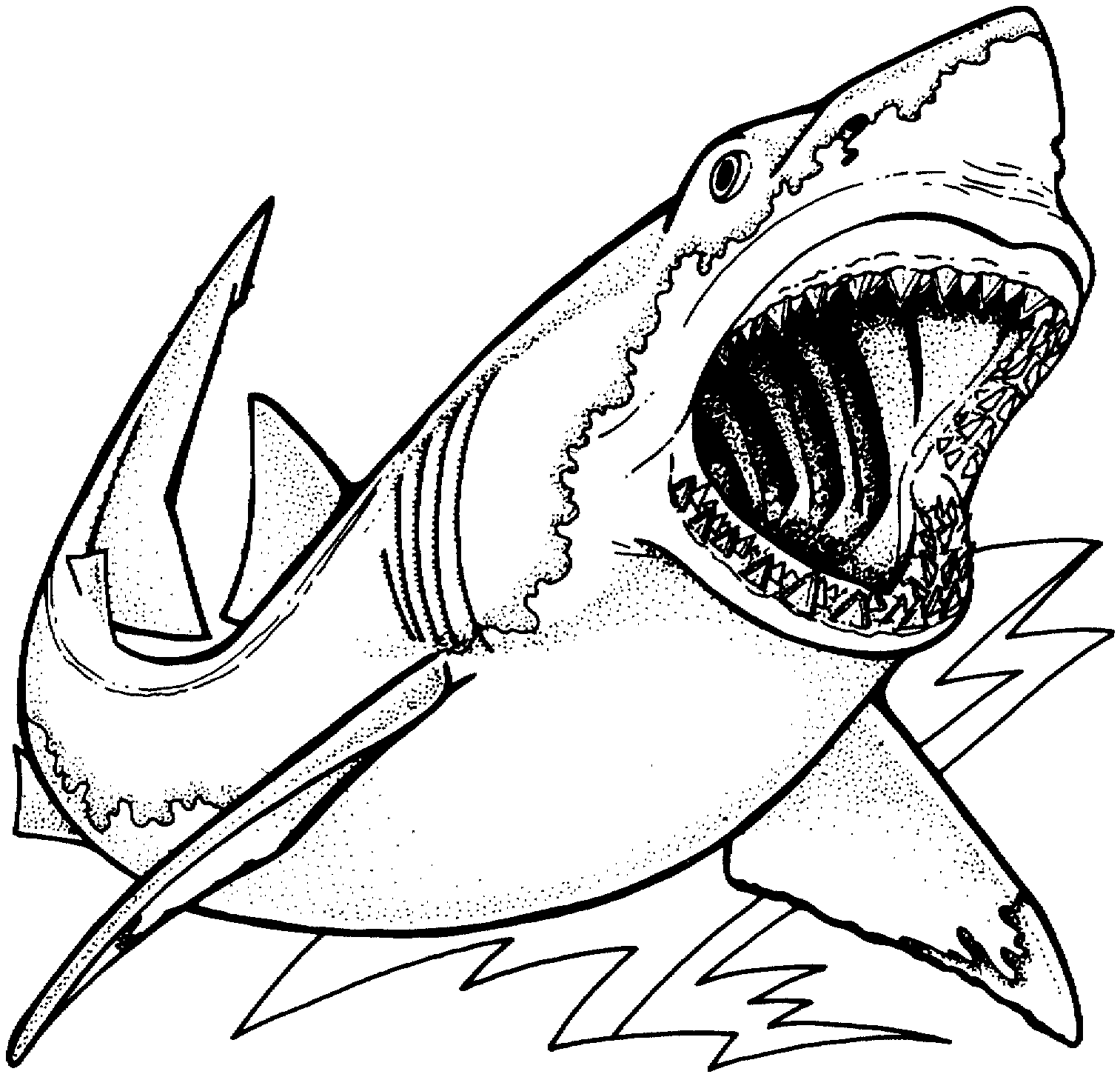 coloring page of shark free shark coloring pages coloring of page shark 