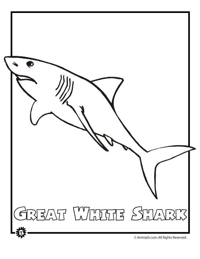 coloring page of shark great white shark endangered animal coloring page woo of shark coloring page 