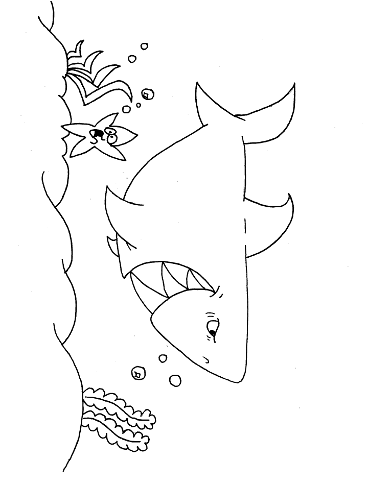 coloring page of shark shark coloring pages and posters coloring page shark of 