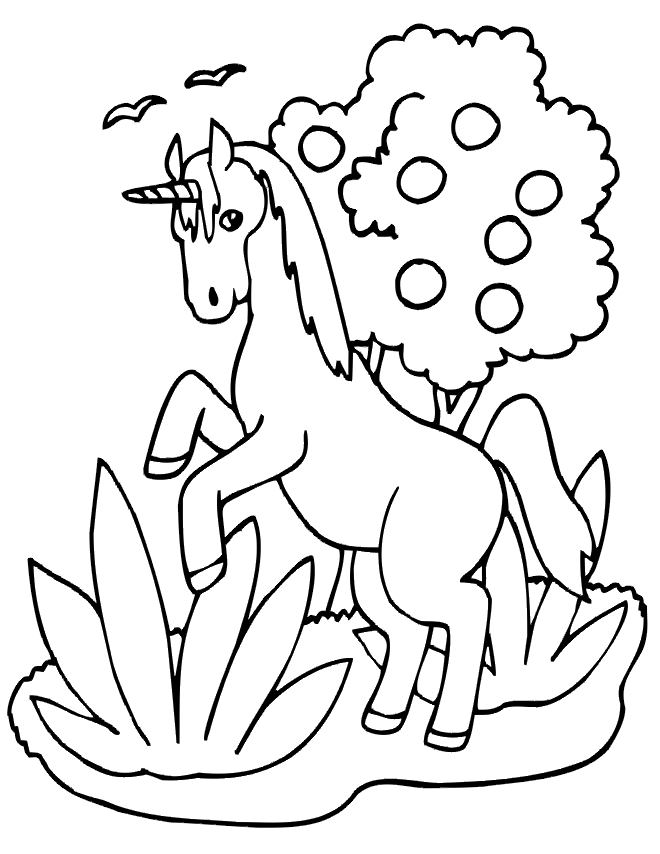 coloring page unicorn unicorn drawing pages at getdrawings free download unicorn page coloring 