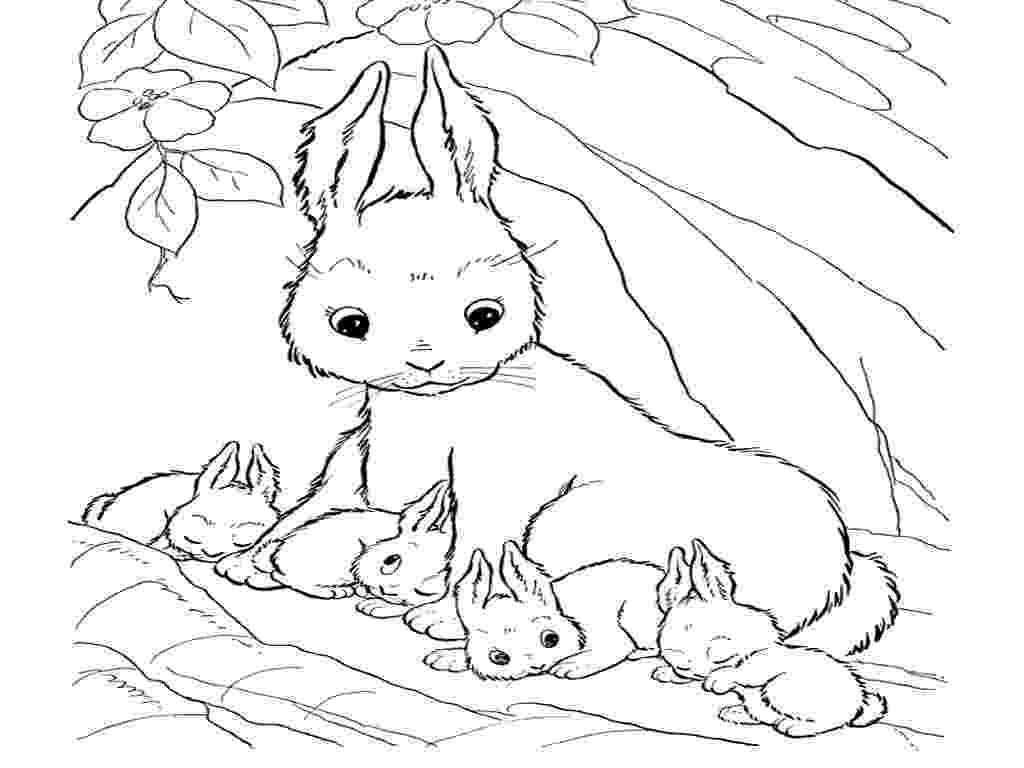 coloring pages bunnies printable 60 rabbit shape templates and crafts colouring pages pages printable coloring bunnies 