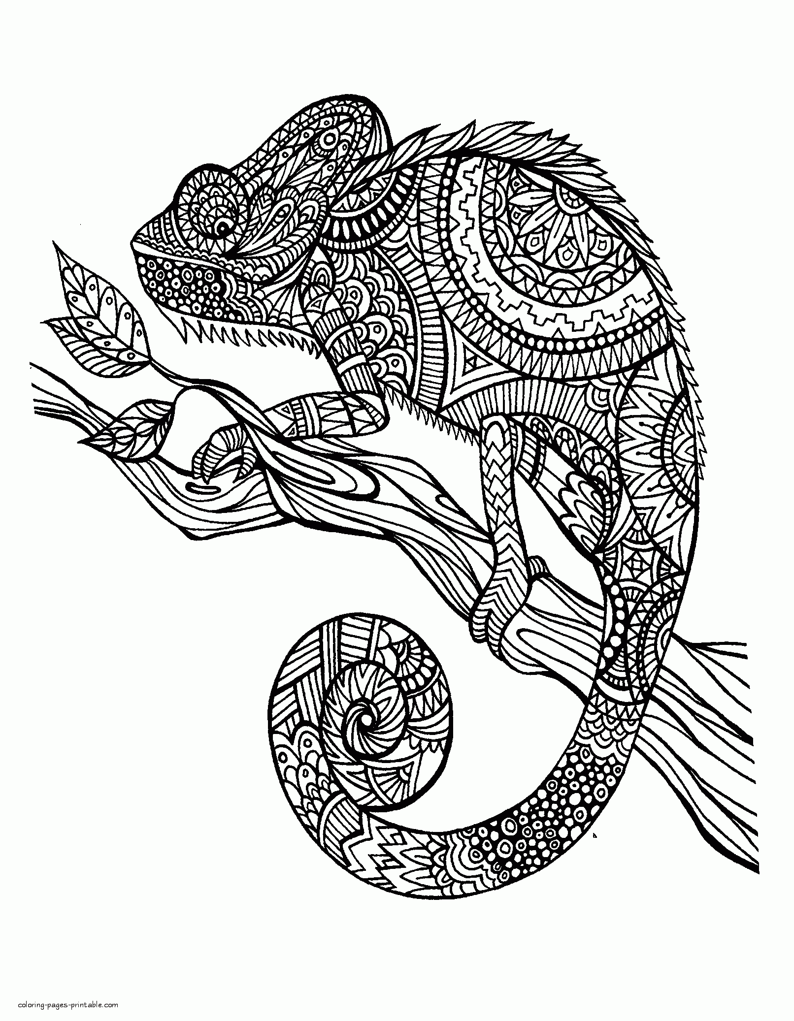 coloring pages for adults chameleon a color of his own the mixed up chameleon lesson plan chameleon adults for coloring pages 