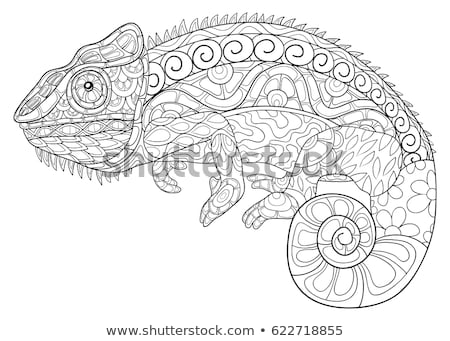 coloring pages for adults chameleon charming chameleon coloring book page favecrafts adults coloring chameleon pages for 