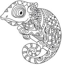 coloring pages for adults chameleon coloring pages for adults chameleon pages chameleon adults coloring for 